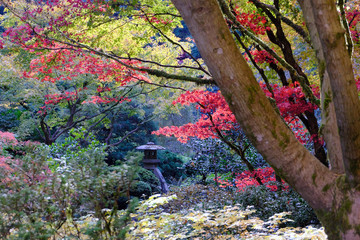 Zoomed Pagoda in the Trees