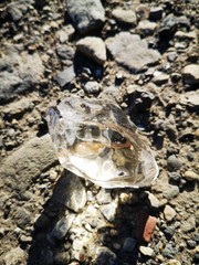 ice crystal on the ground