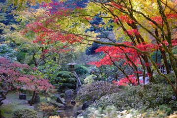 Pagoda Through the Trees