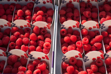 raspberry baskets