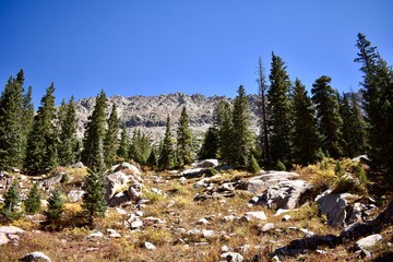 Beautiful alpine meadows and lakes amidst the rugged Gore Range in the Colorado Rockies.