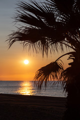 Orange sunrise above the sea a palm tree and a beach at the foreground. Sun shines and the solar path is reflected from water.