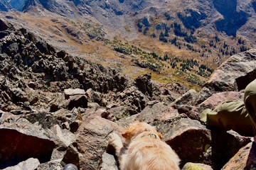 After a long climb a tired pup over looks the impending descent.