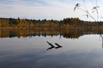 Autumn light in Schwenninger Moos nature preserve