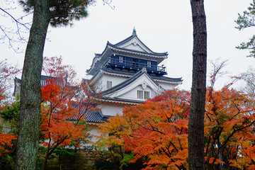 Okazaki Castle Japan