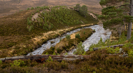 River Dee