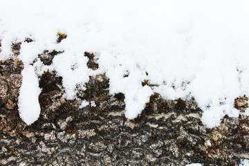 winter snow