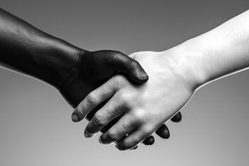 Close up of black and white hand handshake on light background . 3d rendering. reconciliation