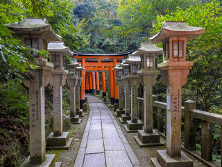 Torii gates and lanterns at a shrine in Kyoto Japan