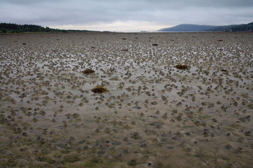 Lochgilphead beach in Argyle Scotland on a cold wet summers morning