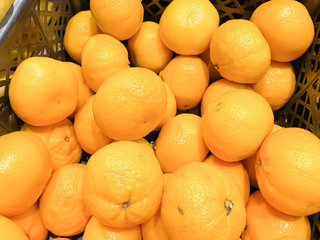 Many fresh citrus oranges on the shelf of a supermarket, juicy organic fruit at farmers market