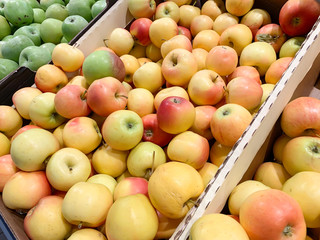 Assortment variety of apples different colors in a supermarket, organic whole vegetarian food in farm market