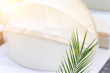 Seaside resort background, green palm leaves and blurred sea shore with light beige lounge beds and umbrellas at sunset, travelling and vacation concept