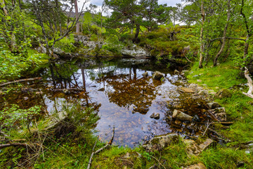 Fototapety na wymiar - Fototapeta24.pl