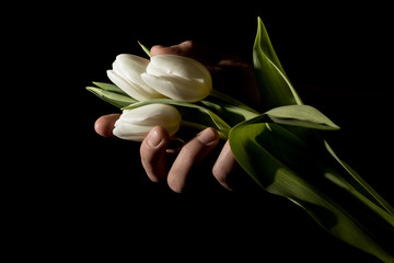 A man's hand squeezes three tulips in total darkness under studio lighting