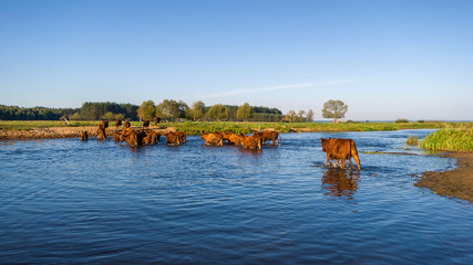 Rzeka Narew, Wieś nad Narwią, Krajobraz wiejski Podlasia © podlaski49