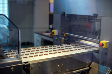 Sweets on a chocolate factory conveyor