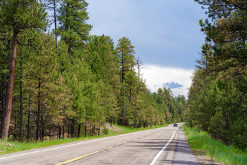 Jemez Mountain Trail Scenic Byway near Valles Caldera