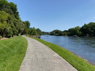 Waikato River trail through central Hamilton