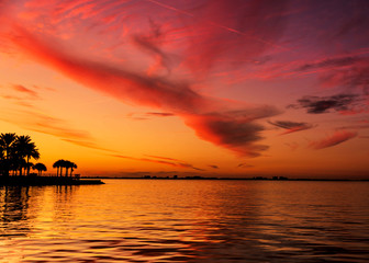 Fototapeta na wymiar Sunset palm tree beautiful florida coast sunset