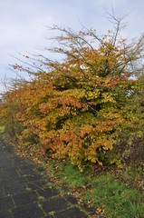 Naklejka premium Nature picture