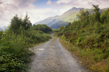 Dirt road leading to the mountain Ben Lomond in Scotland on a summers day