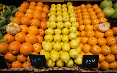 citrus sale in the store
