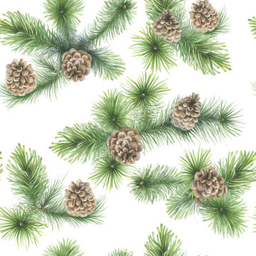 Beautiful pine tree branches with cones. Christmas, New Year holiday decoration. Watercolor painting. Can be used for New Year and Christmas decor, greeting cards, cloth printing, fabric.