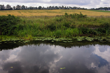 The Forth and Clyde canal in Scotland on a summer day.
