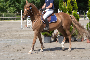 Man riding a chestnut horse at walking pace