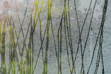 water drops slides down on a glass, nature view abstract background, no people, 