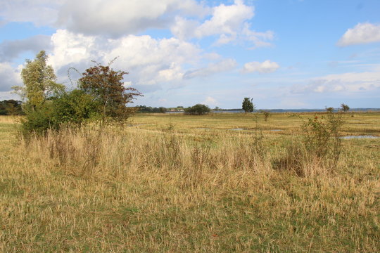 Gnitz
