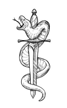 Snake and sword tattoo Royalty Free Vector Image