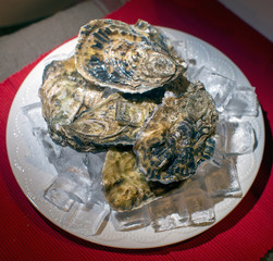 fresh oyster on ice