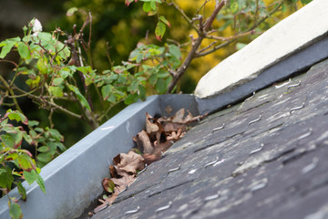 Dead leaves obstructing a gutter during autumn