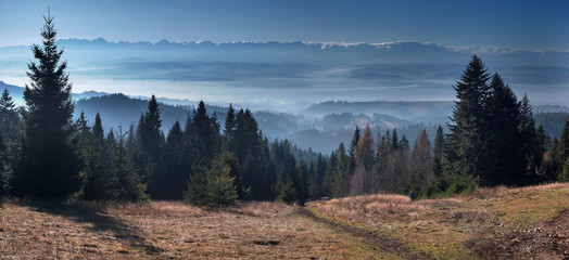 Gorce - Panorama z Goców na Tatry - okolice Nowego Targu - Polana Kotlarska