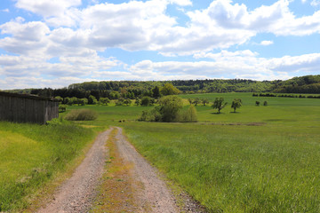 Country gravel road next to green meadows and a barn