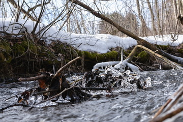 Ice structures on a flowing stream 1