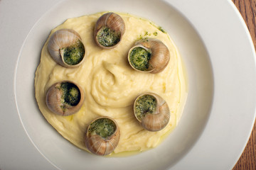 ready-made French snail in mashed potatoes