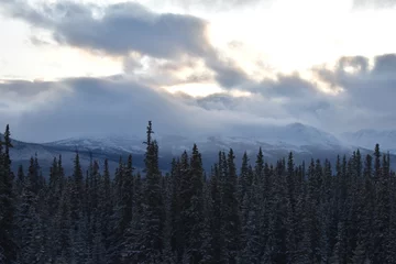 Badkamer foto achterwand Mistig bos snow season trip