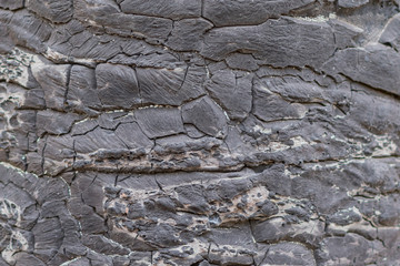 Textured image of the surface of the resin