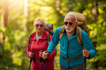 Senior couple hiking in the forest