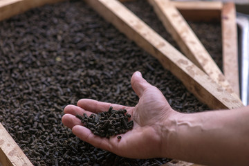 made in Ukraine, dry granules of the plant Ivan-tea