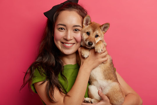 Portrait of caring mixed race woman keeps pedigree puppy closely to face, embraces shiba inu dog, have good time, enjoy homely relax, being forever together, chill in studio. Animals concept.