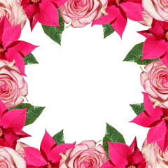 Beautiful floral background of poinsettias and roses. Isolated