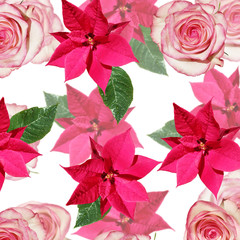 Beautiful floral background of poinsettias and roses. Isolated