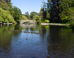 A stone bridge over a pond with ducks