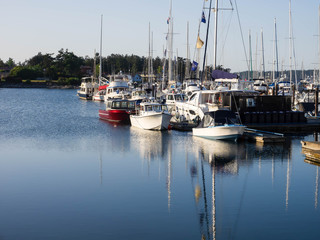 Boats sitting in a calm Marina