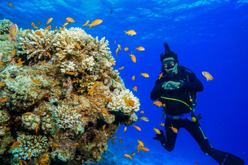 Scuba Diving the Red Sea, Egypt