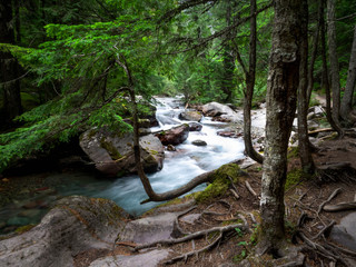A stream Flowing in the Canadian Rockies